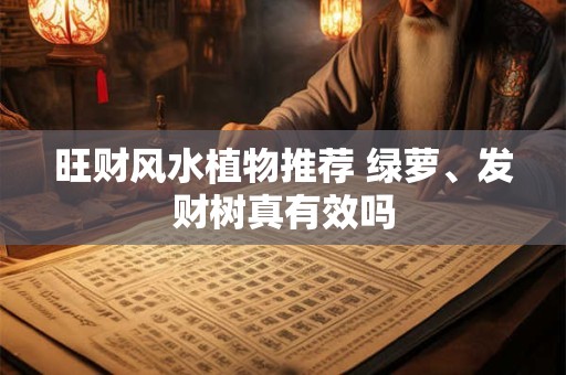 旺财风水植物推荐 绿萝、发财树真有效吗