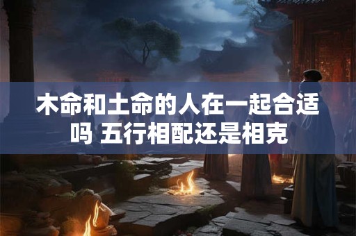 木命和土命的人在一起合适吗 五行相配还是相克