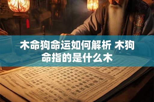 木命狗命运如何解析 木狗命指的是什么木