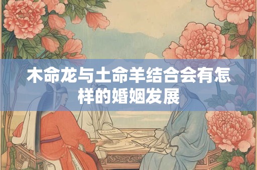 木命龙与土命羊结合会有怎样的婚姻发展