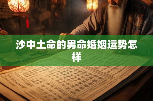 沙中土命的男命婚姻运势怎样