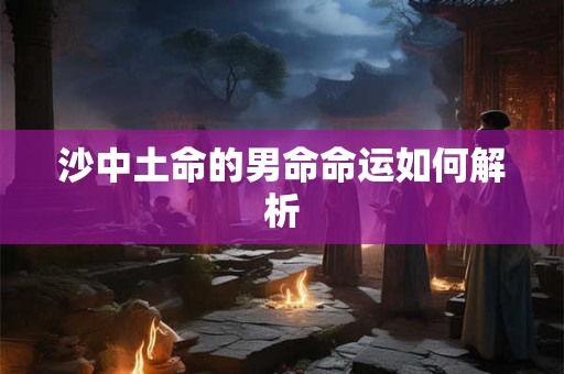 沙中土命的男命命运如何解析