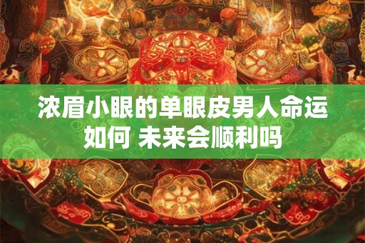 浓眉小眼的单眼皮男人命运如何 未来会顺利吗
