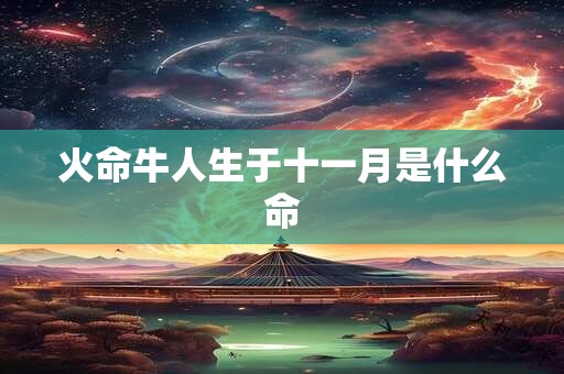 火命牛人生于十一月是什么命