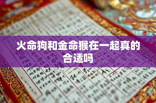 火命狗和金命猴在一起真的合适吗