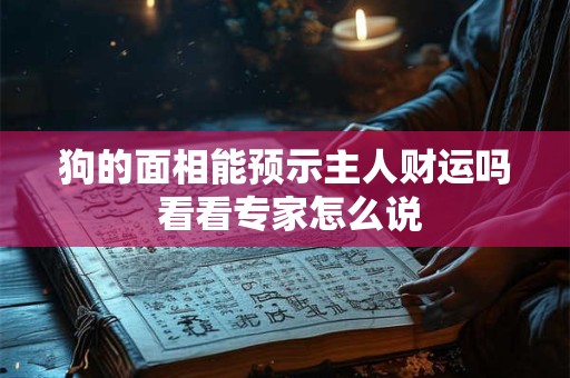 狗的面相能预示主人财运吗 看看专家怎么说