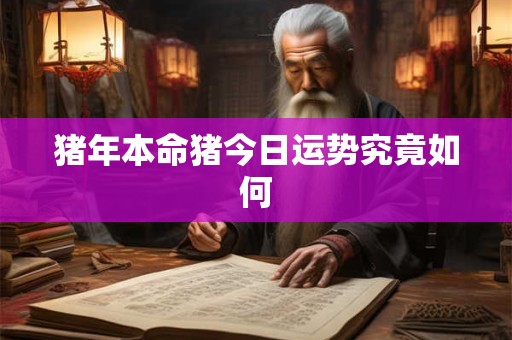 猪年桃花运旺不旺 单身者能否邂逅真爱