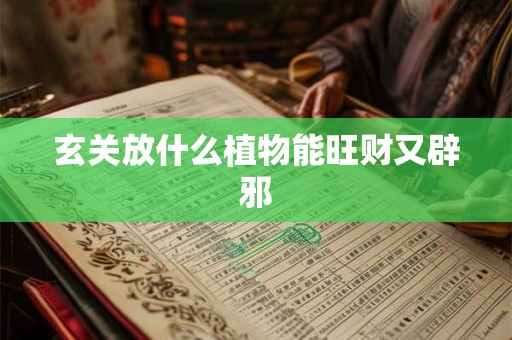 玄关放什么植物能旺财又辟邪