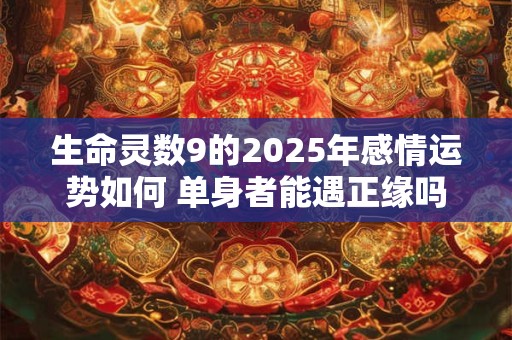 生命灵数9的2025年感情运势如何 单身者能遇正缘吗
