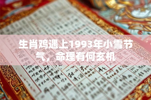 生肖鸡遇上1993年小雪节气，命理有何玄机