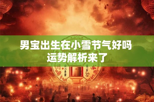 男宝出生在小雪节气好吗 运势解析来了