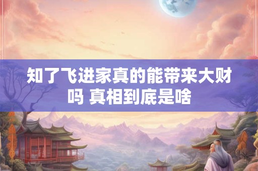 知了飞进家真的能带来大财吗 真相到底是啥