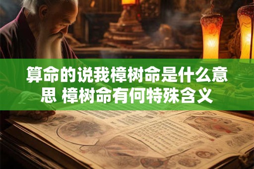 算命的说我樟树命是什么意思 樟树命有何特殊含义