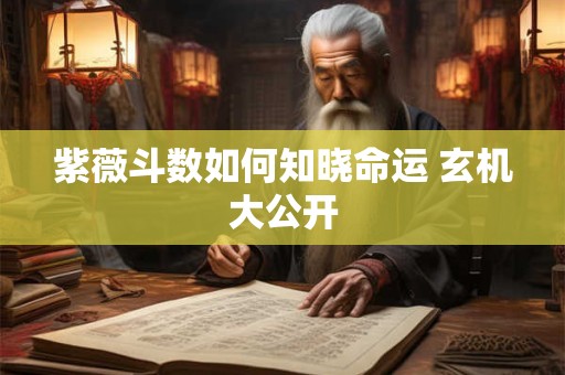 紫薇斗数如何知晓命运 玄机大公开