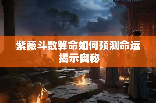 紫薇斗数算命如何预测命运 揭示奥秘