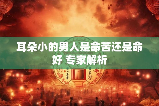 耳朵小的男人是命苦还是命好 专家解析