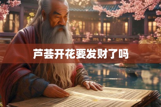 苦命兔or富兔 2025年属兔人运势大预测