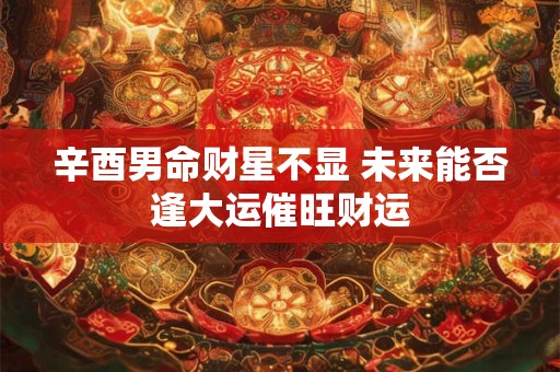 辛酉男命财星不显 未来能否逢大运催旺财运
