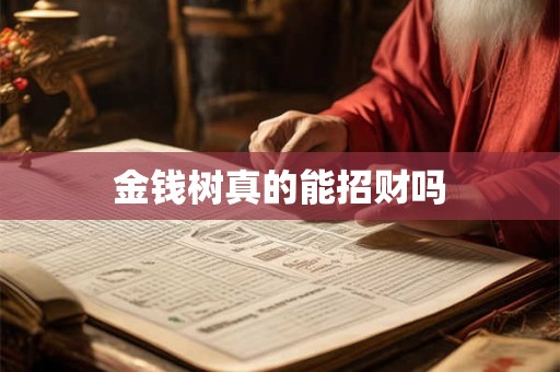 金钱树真的能招财吗