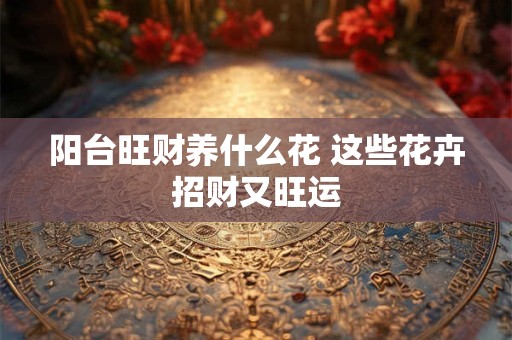 阳台朝向影响财运 揭秘最佳招财方位与布局技巧