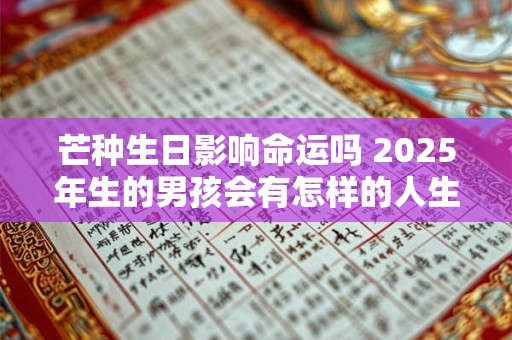 芒种生日影响命运吗 2025年生的男孩会有怎样的人生