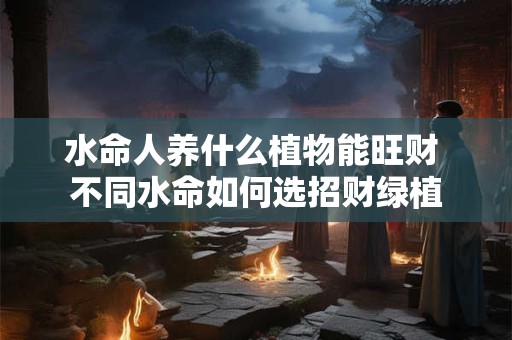 水命人养什么植物能旺财 不同水命如何选招财绿植
