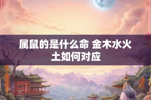 属鼠的是什么命 金木水火土如何对应