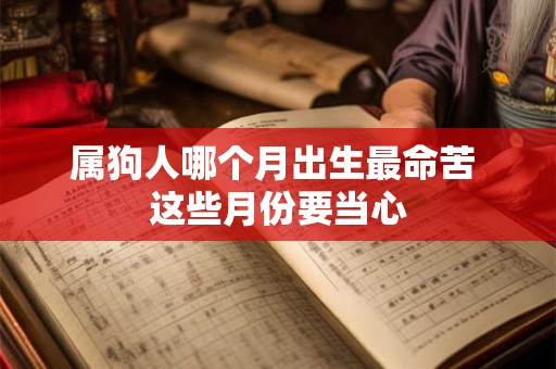 属狗人哪个月出生最命苦 这些月份要当心
