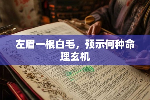 左眉一根白毛，预示何种命理玄机