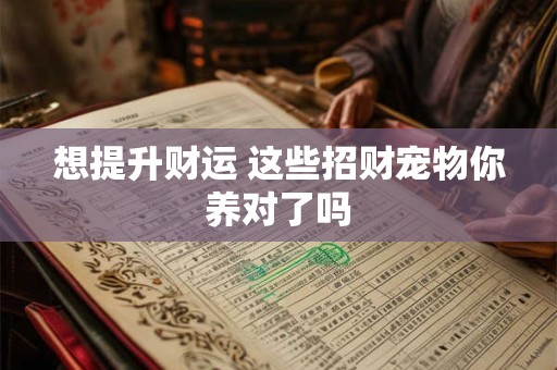 想提升财运 这些招财宠物你养对了吗