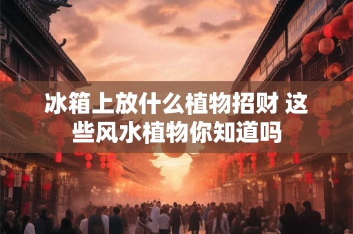 冰箱上放什么植物招财 这些风水植物你知道吗