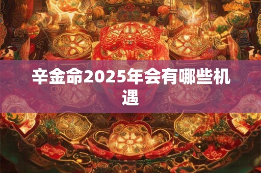 详细阅读:辛金命2025年会有哪些机遇 辛金命2025年会有哪些机遇