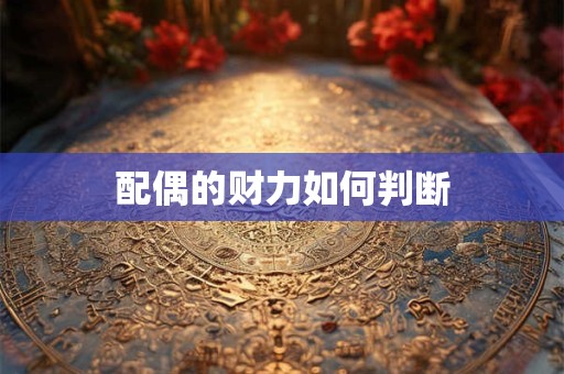 配偶的财力如何判断