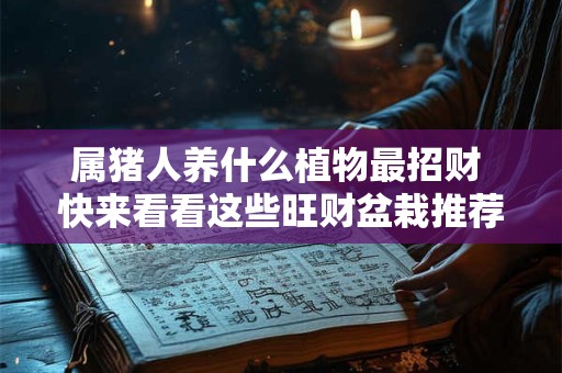 属猪人养什么植物最招财 快来看看这些旺财盆栽推荐