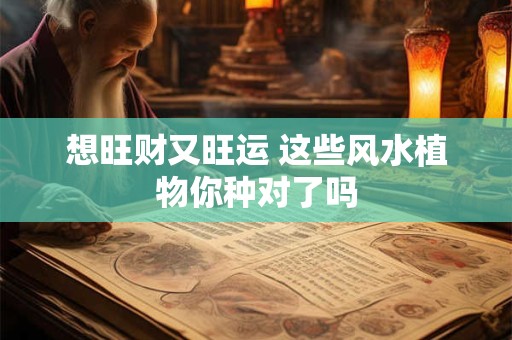 想旺财又旺运 这些风水植物你种对了吗