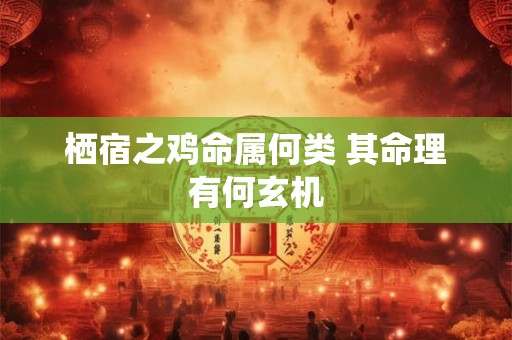 栖宿之鸡命属何类 其命理有何玄机