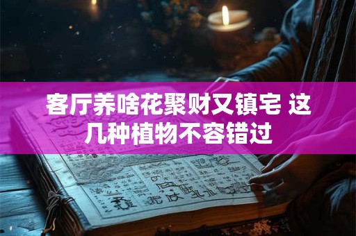客厅养啥花聚财又镇宅 这几种植物不容错过