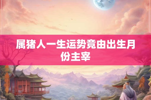 属猪人一生运势竟由出生月份主宰