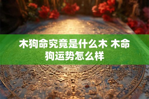木狗命究竟是什么木 木命狗运势怎么样