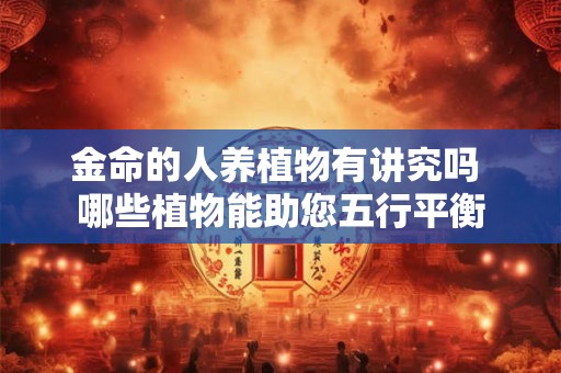 金命的人养植物有讲究吗 哪些植物能助您五行平衡