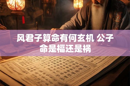 风君子算命有何玄机 公子命是福还是祸