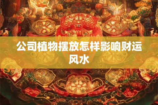 公司植物摆放怎样影响财运风水