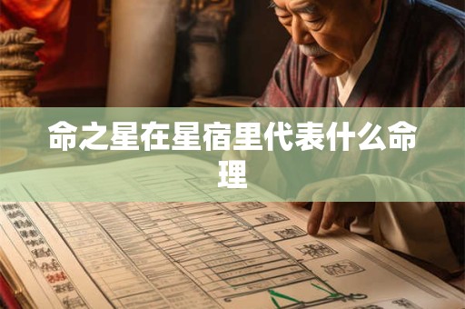 命之星在星宿里代表什么命理