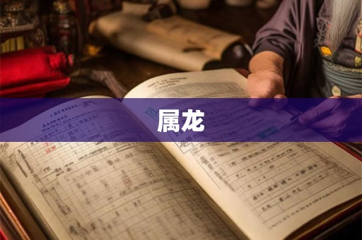 属龙