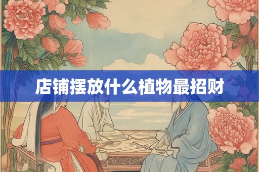 店铺摆放什么植物最招财