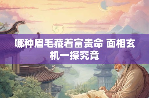 哪种眉毛藏着富贵命 面相玄机一探究竟