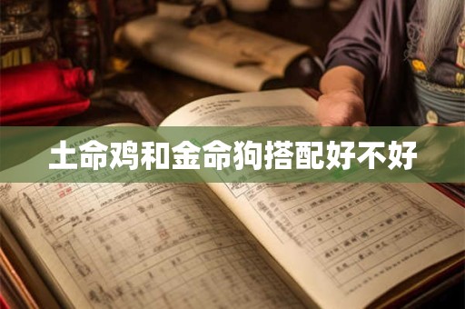 土命鸡和金命狗搭配好不好