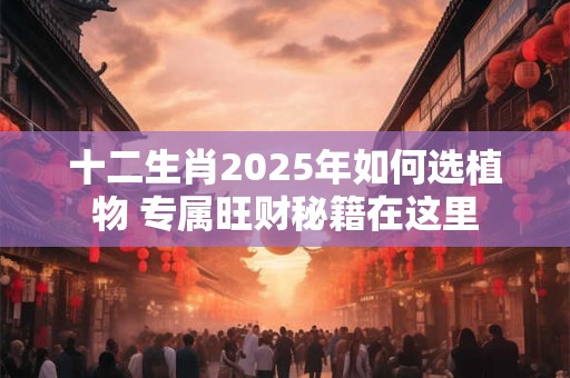 十二生肖2025年如何选植物 专属旺财秘籍在这里