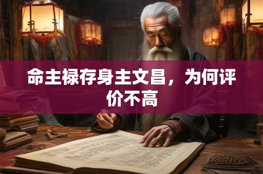 命主禄存身主文昌，为何评价不高