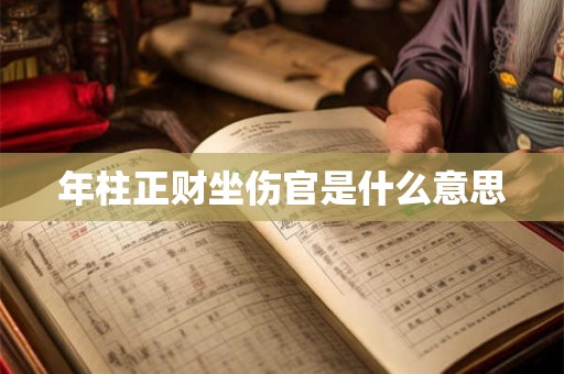 年柱正财坐伤官是什么意思
